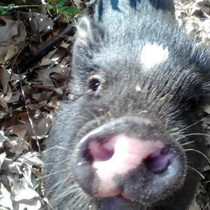 Meet your Posher, Kay